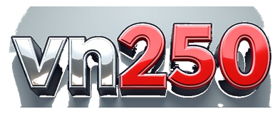 vn250 logo